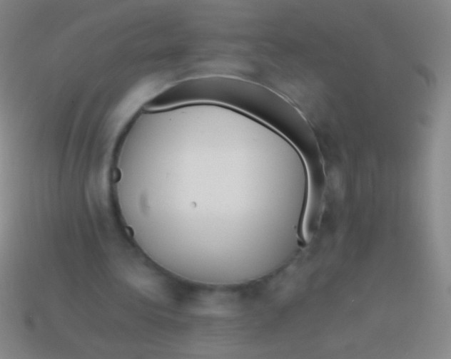 X0000113590340200910161848