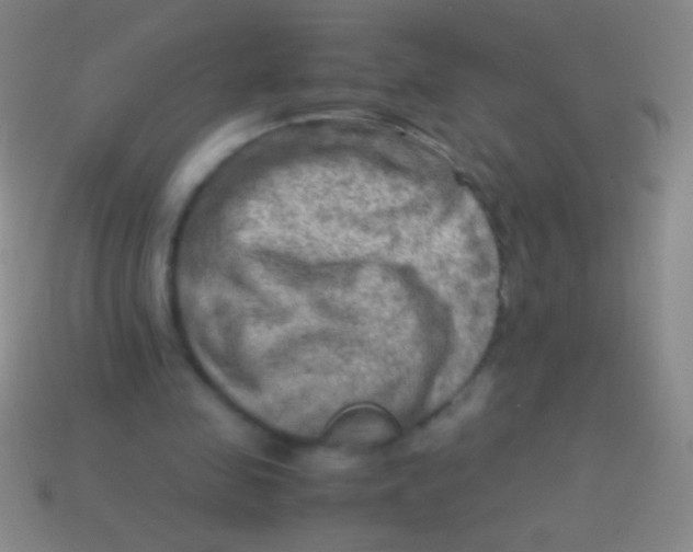 X0000113590341200910161848