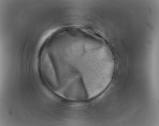 X0000113590342200910161848