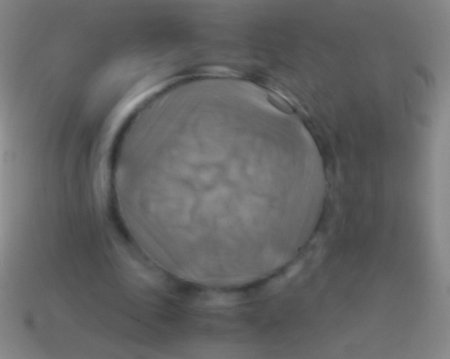 X0000113590343200910161848