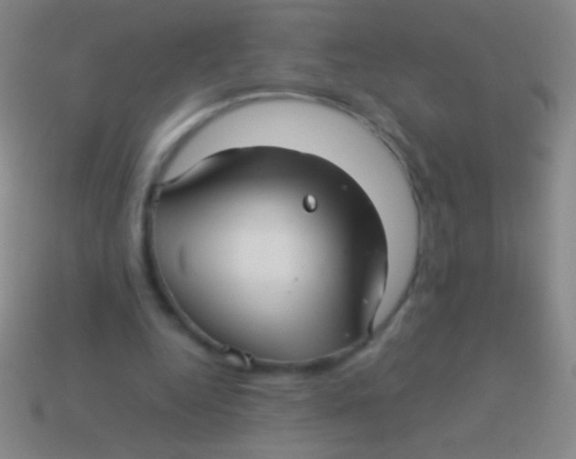 X0000113590344200910161848