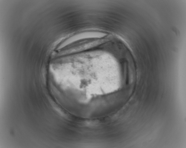 X0000113590345200910161848