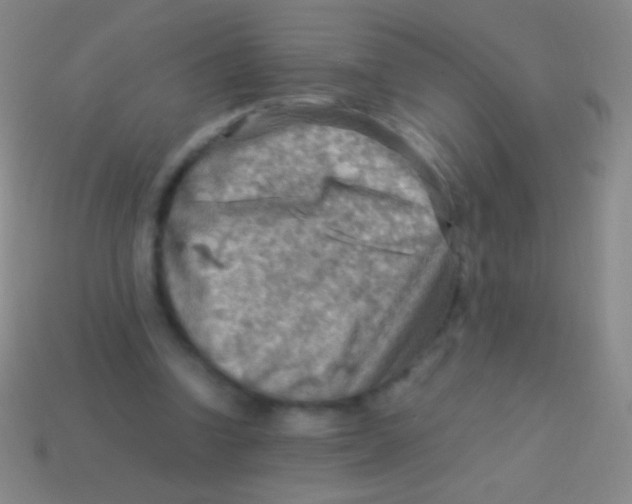 X0000113590346200910161848