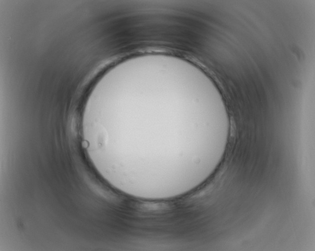 X0000113590347200910161848