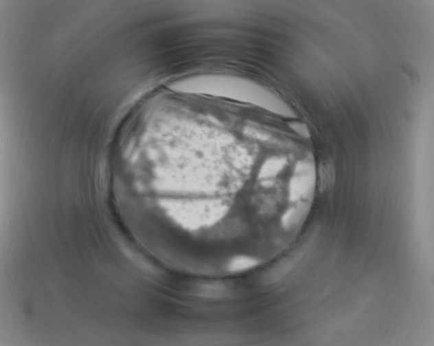 X0000113590349200910161848