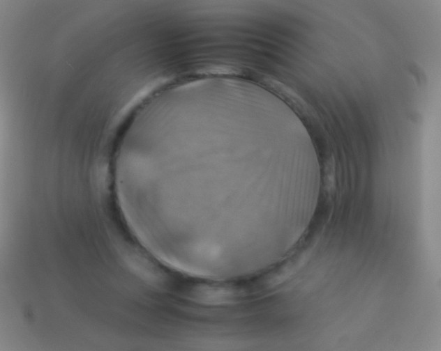 X0000113590351200910161848