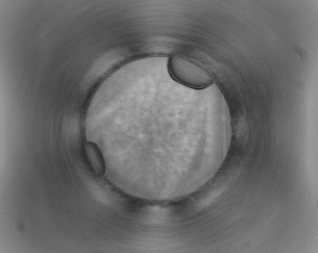 X0000113590352200910161848