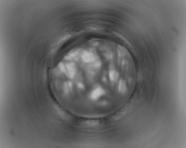 X0000113590353200910161848