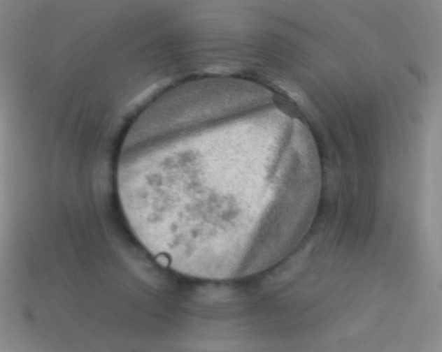X0000113590354200910161848
