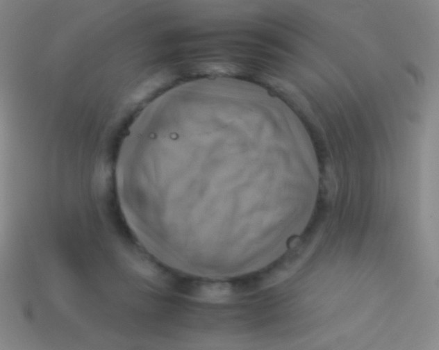 X0000113590355200910161848