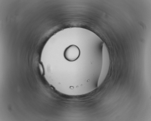 X0000113590356200910161848
