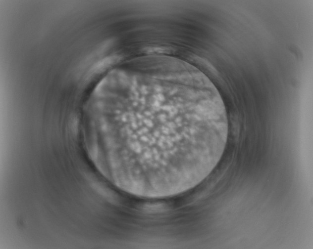 X0000113590357200910161848