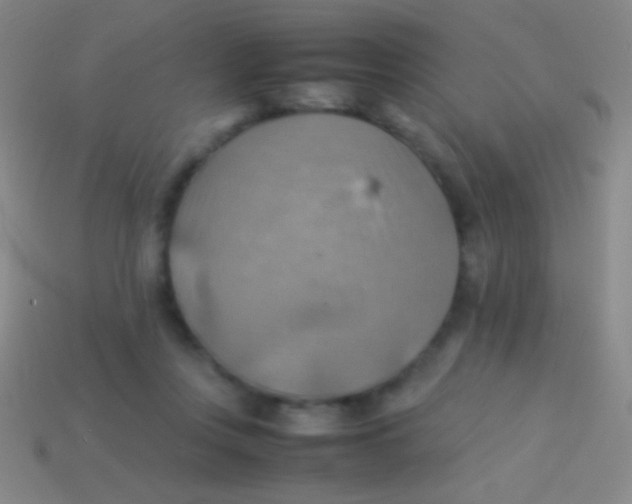 X0000113590359200910161848