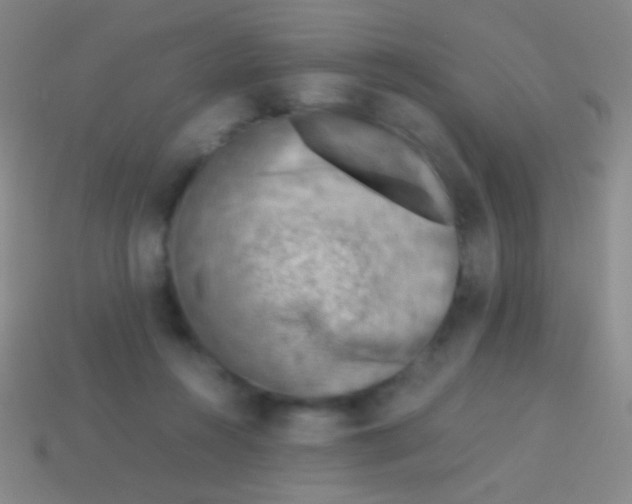 X0000113590360200910161848