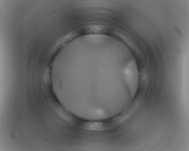 X0000113590361200910161848
