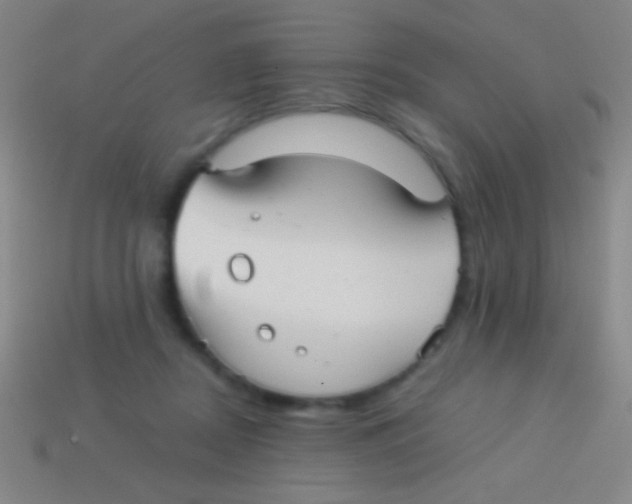 X0000113590362200910161848