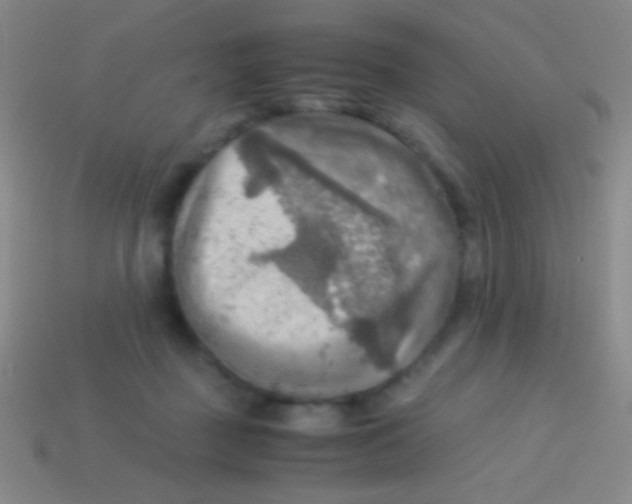 X0000113590363200910161848