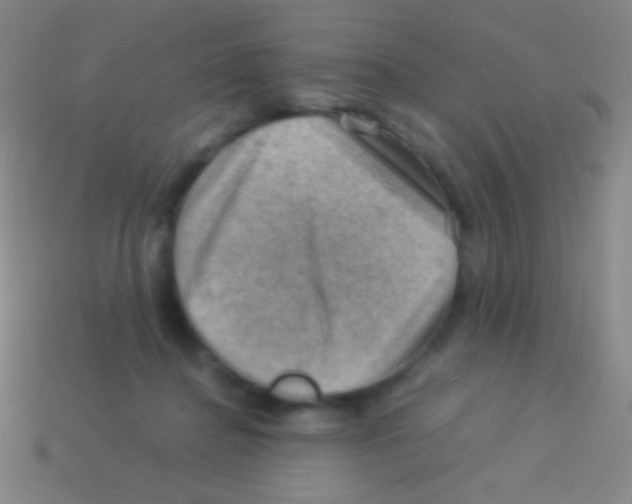 X0000113590364200910161848