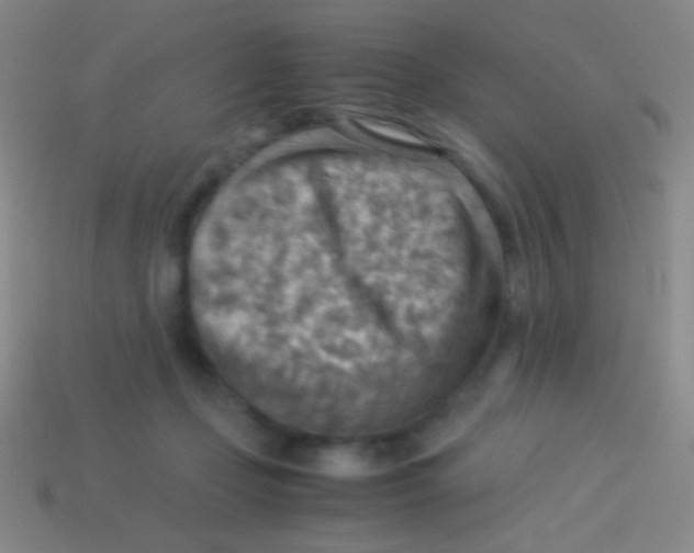 X0000113590365200910161848