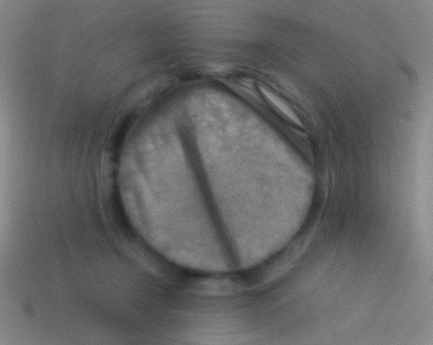 X0000113590366200910161848