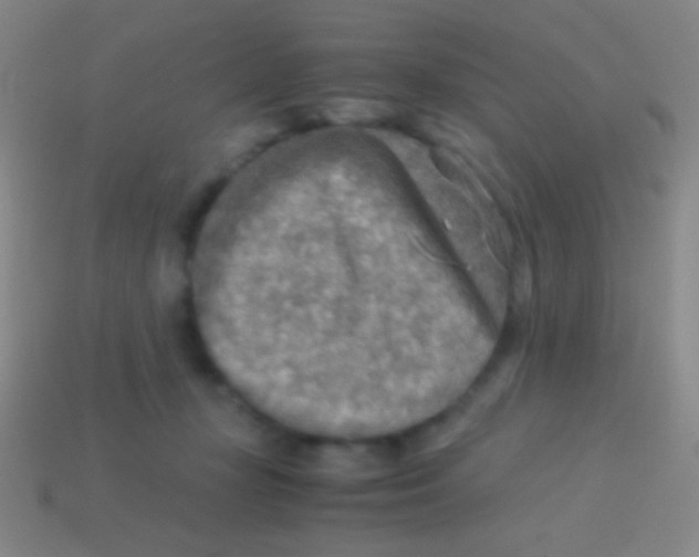 X0000113590367200910161848