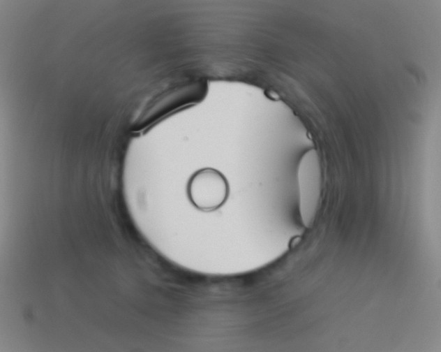 X0000113590368200910161848