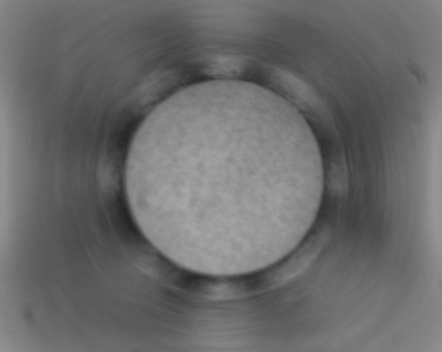 X0000113590370200910161848