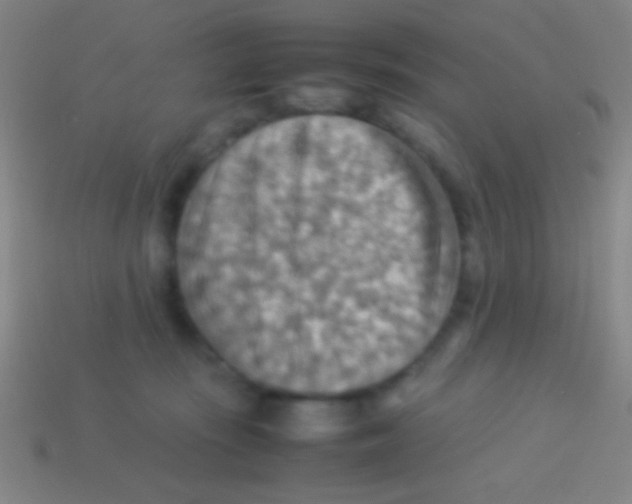 X0000113590371200910161848