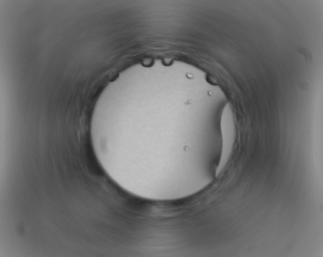 X0000113590372200910161848