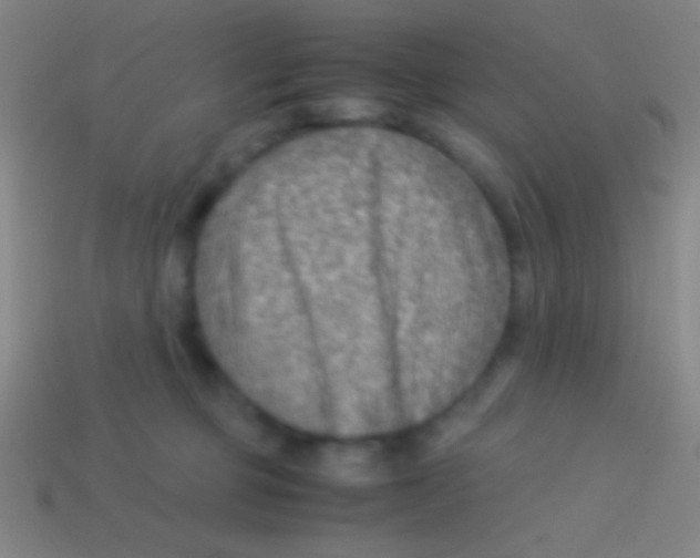 X0000113590373200910161848