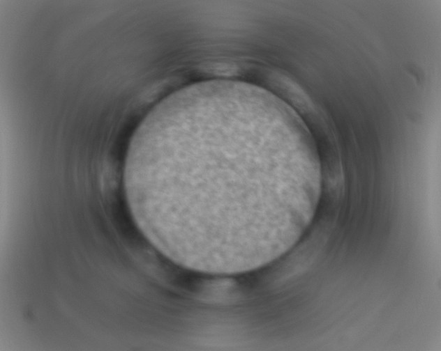 X0000113590374200910161848