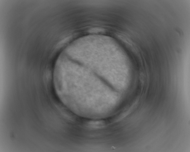 X0000113590375200910161848