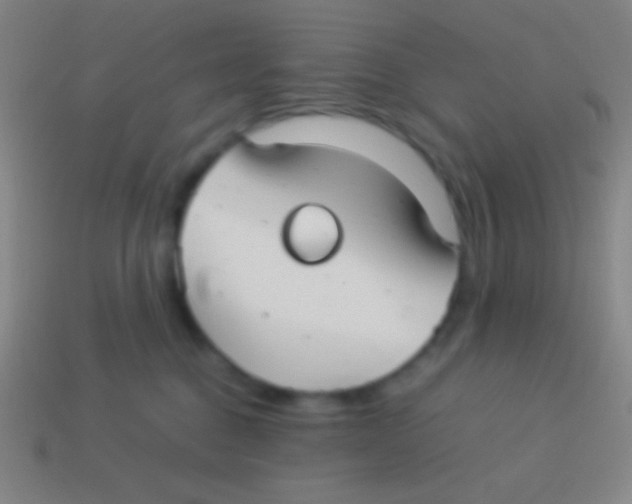 X0000113590376200910161848