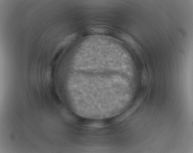 X0000113590377200910161848