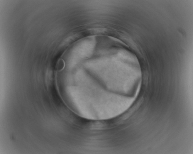 X0000113590378200910161848