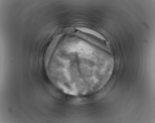 X0000113590379200910161848