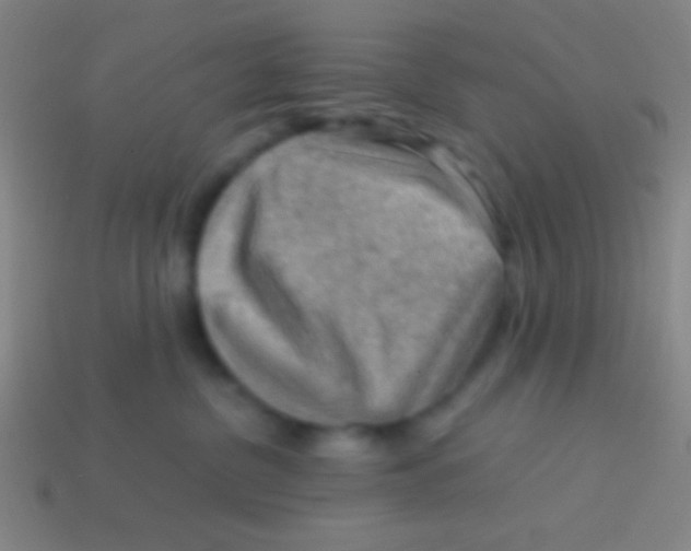 X0000113590380200910161848