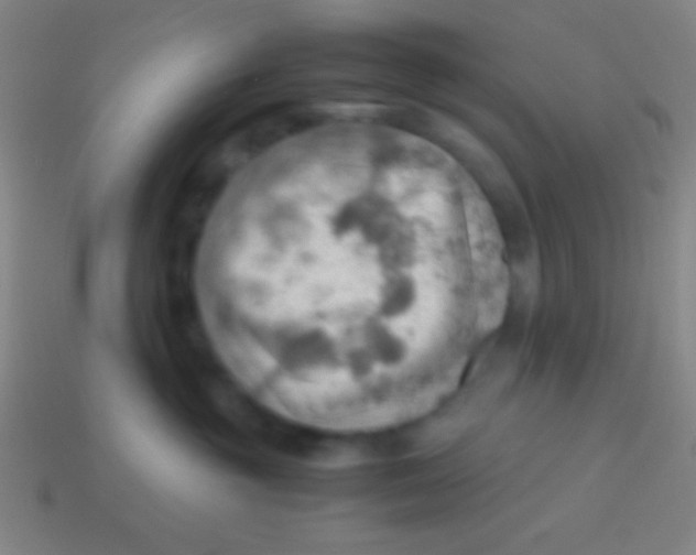 X0000113590381200910161848