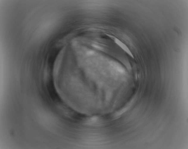 X0000113590382200910161848