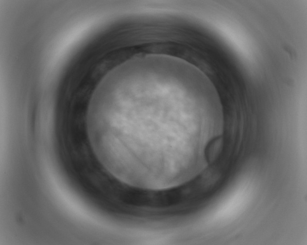 X0000113590383200910161848
