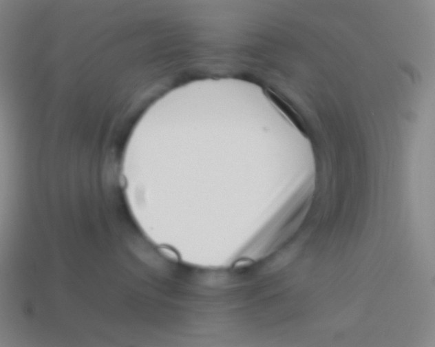 X0000113590384200910161848