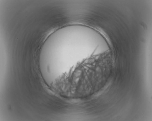 X0000113590385200910161848