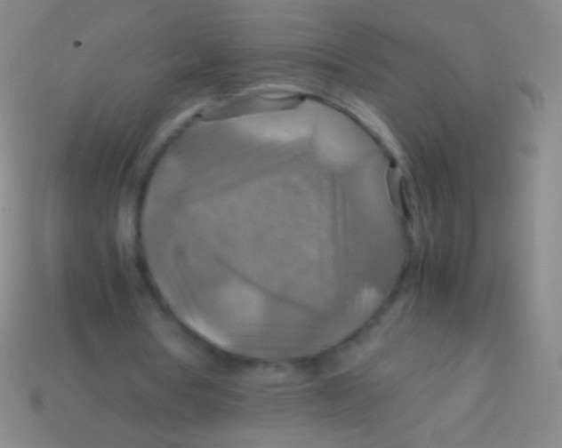 X0000113590386200910161848