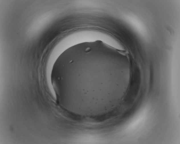 X0000113590387200910161848