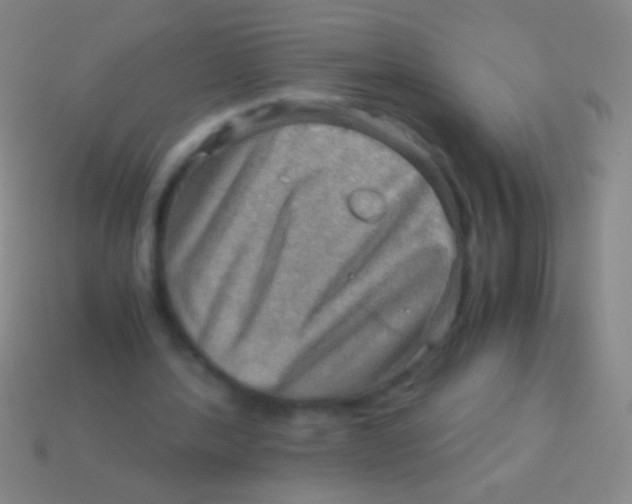 X0000113590388200910161848