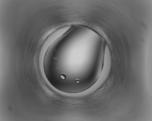 X0000113590389200910161848