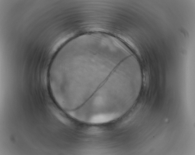 X0000113590390200910161848