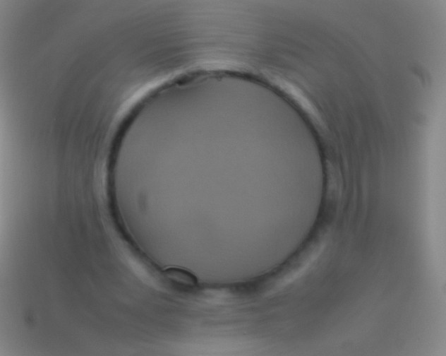 X0000113590391200910161848