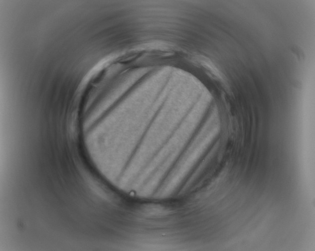 X0000113590392200910161848