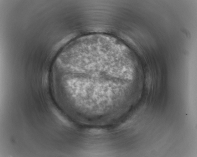 X0000113590394200910161847